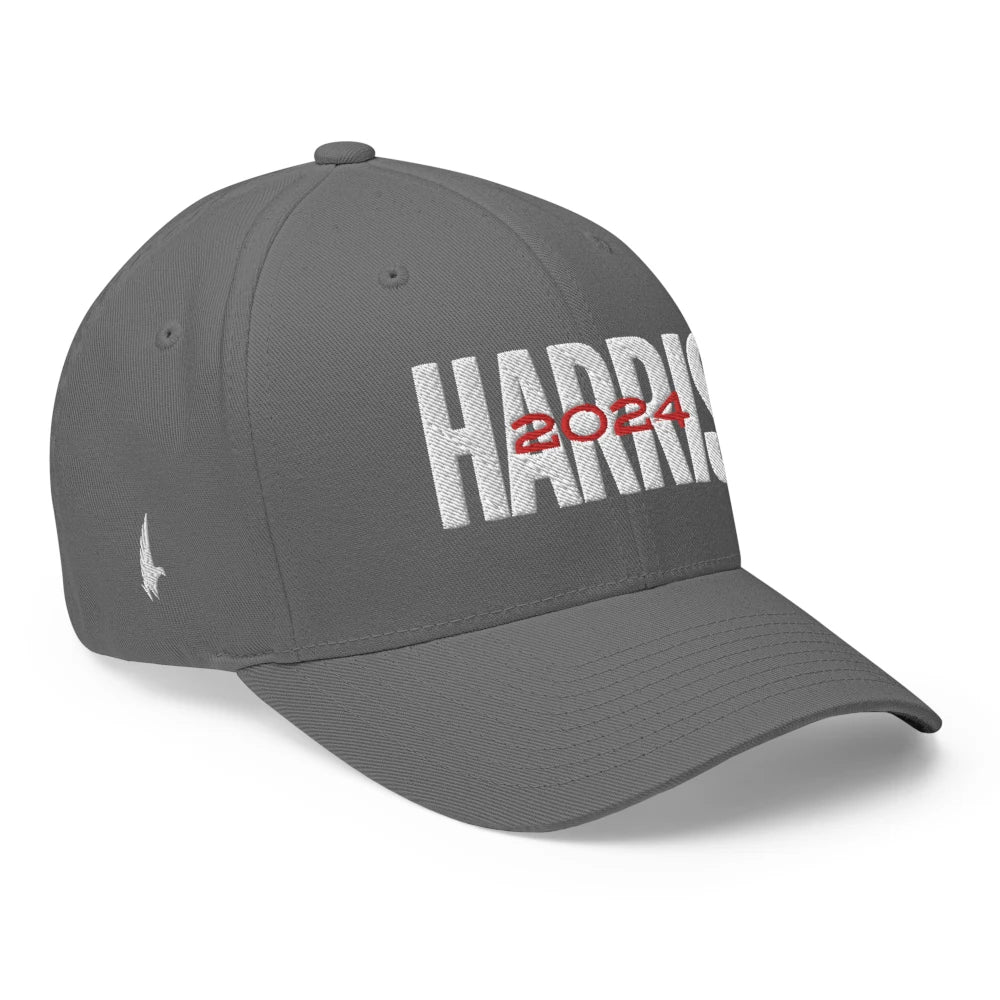 Harris 2024 Fitted Hat Gray - Loyalty Vibes