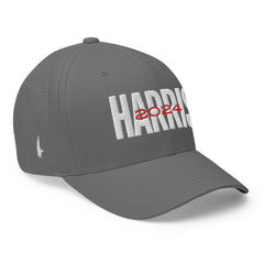 Harris 2024 Fitted Hat Gray - Loyalty Vibes