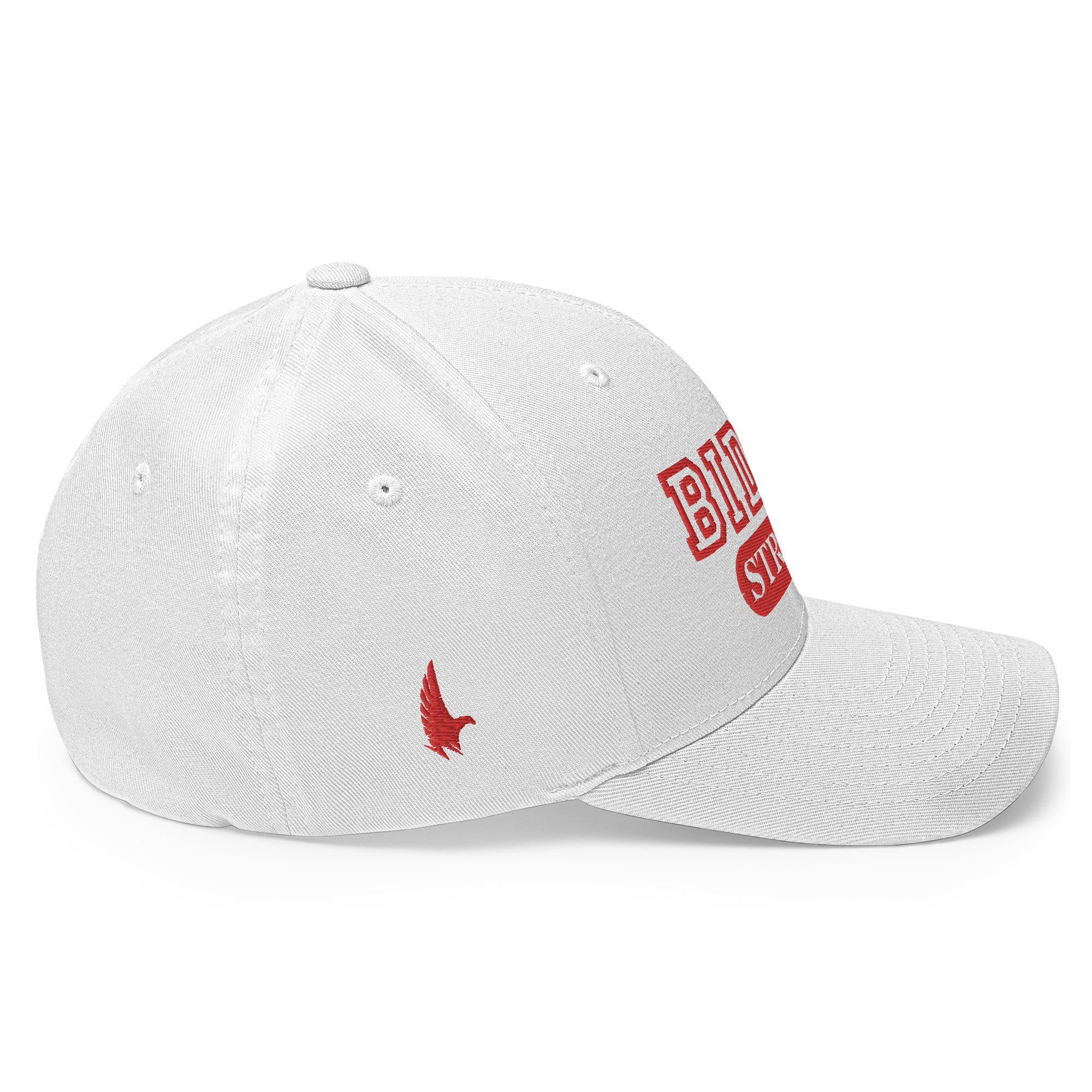Biden Strong Fitted Hat - Loyalty Vibes