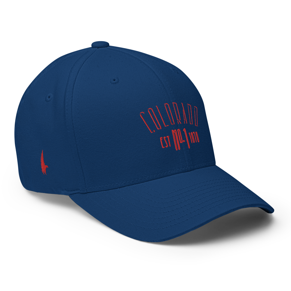 Elite Colorado Fitted Hat Blue - Loyalty Vibes