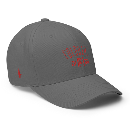 Elite Colorado Fitted Hat Grey - Loyalty Vibes