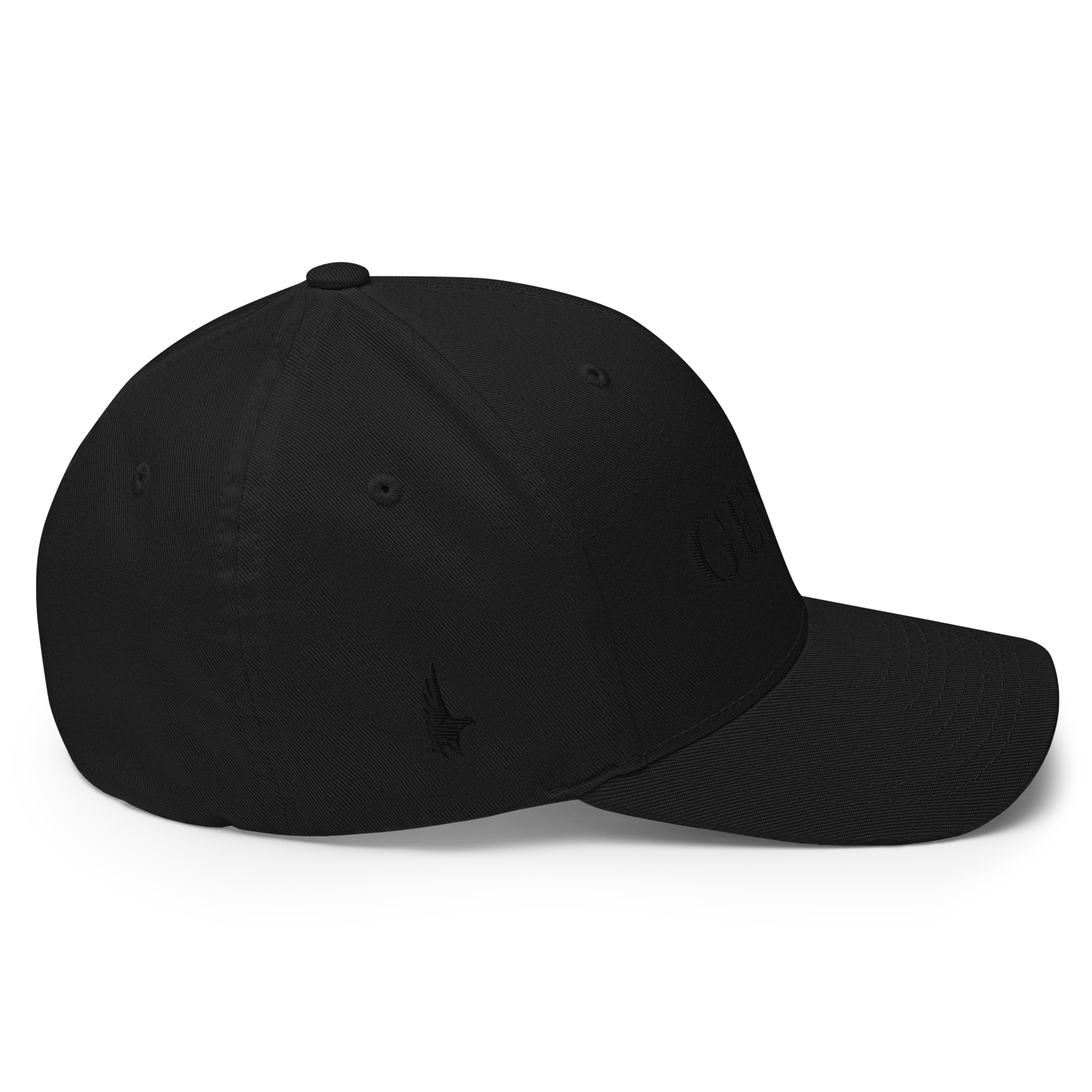 Original Gemini Fitted Hat - Loyalty Vibes