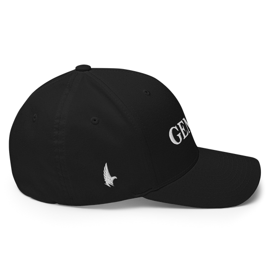 Original Gemini Fitted Hat - Loyalty Vibes