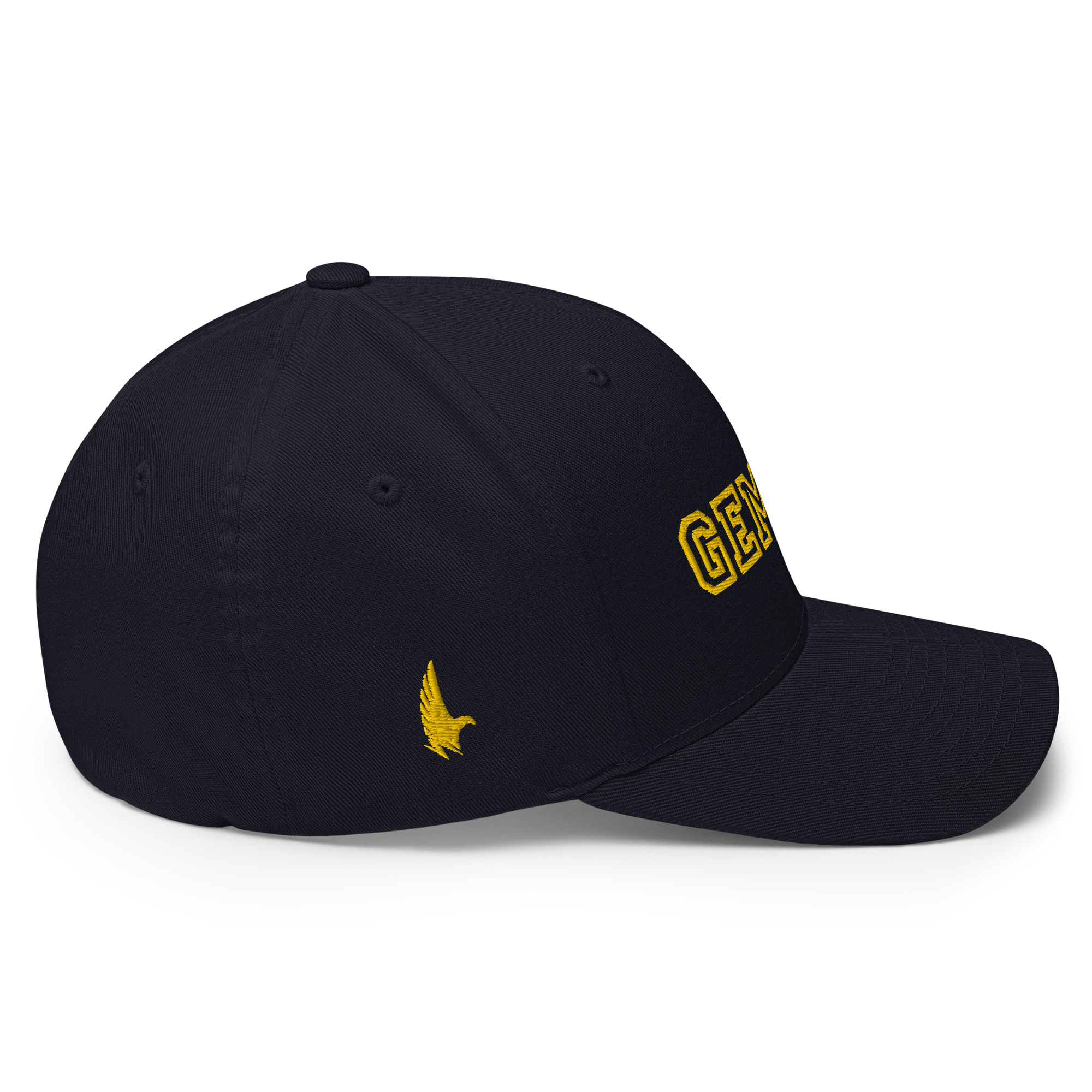 Gemini Legacy Fitted Hat - Loyalty Vibes