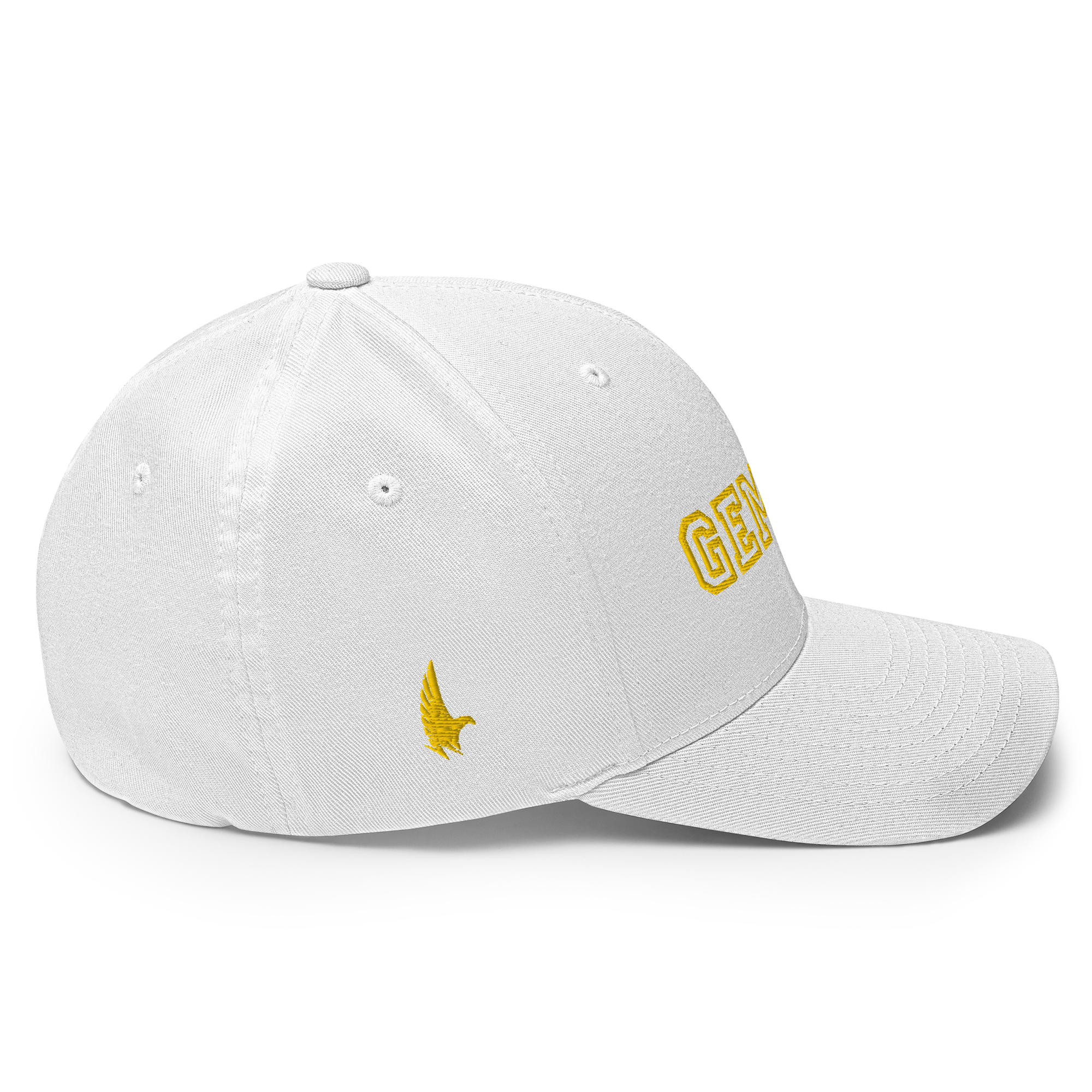 Gemini Legacy Fitted Hat - Loyalty Vibes