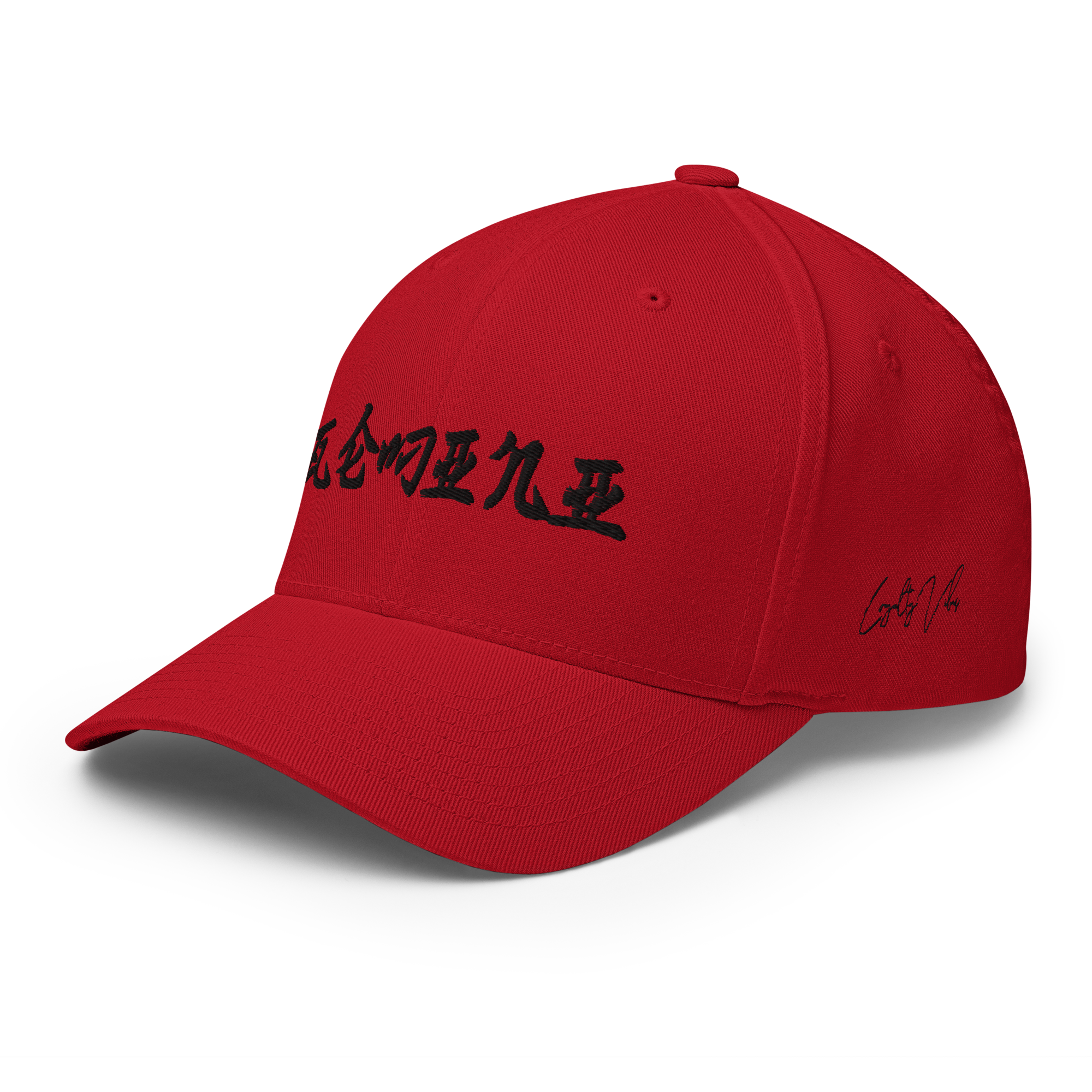 Gemini Rising Fitted Hat - Loyalty Vibes