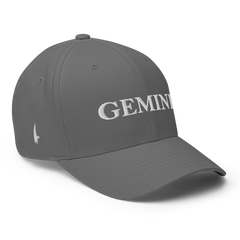 Original Gemini Fitted Hat Grey Fitted - Loyalty Vibes