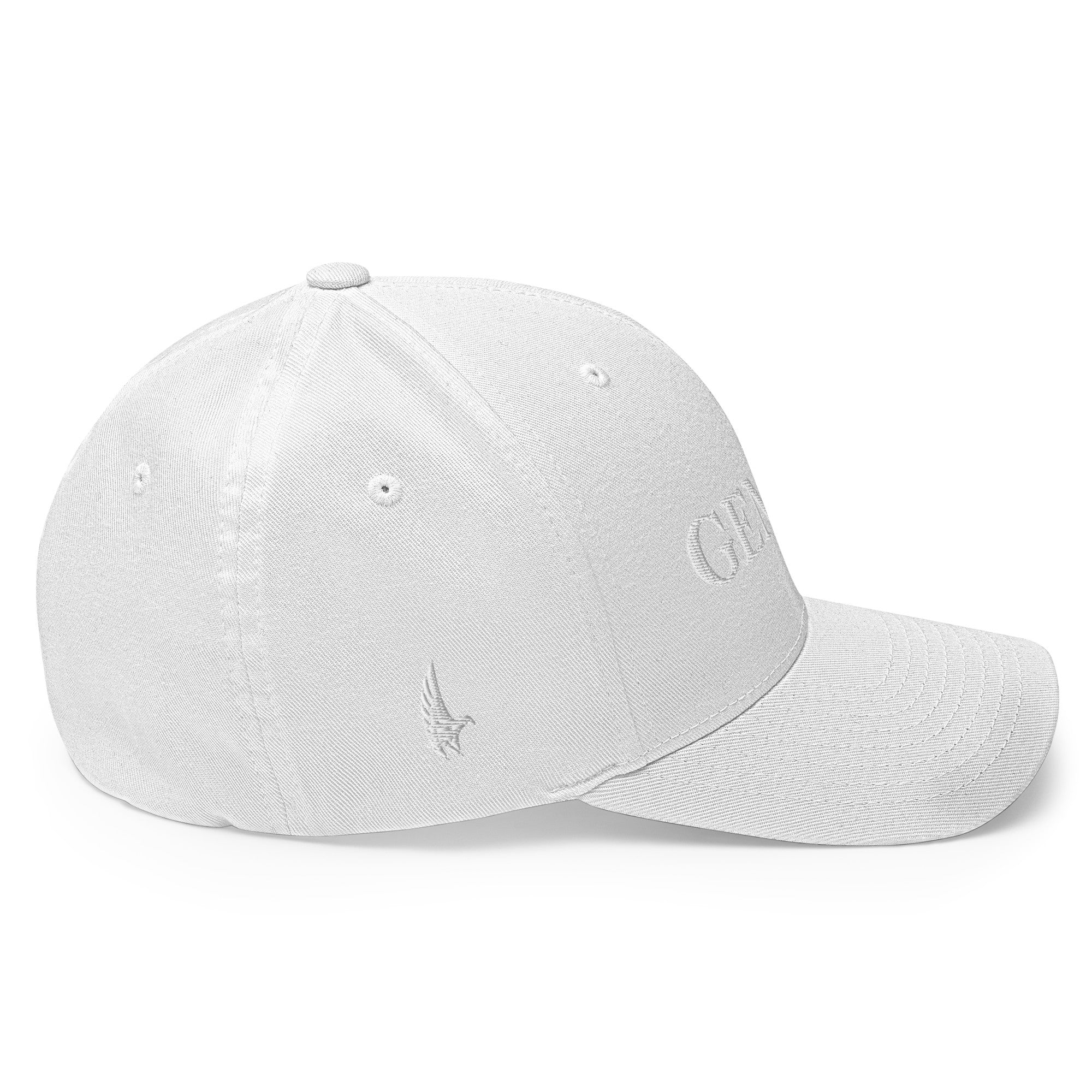 Original Gemini Fitted Hat - Loyalty Vibes